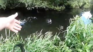 Крупный зеркальный карп на маленькой реке в Алахадзы