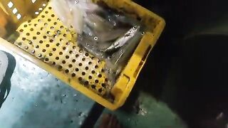 Ночная ловля с лодки на оснастку с пером у Виньхи