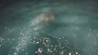 Ночная ловля с лодки на оснастку с пером у Виньхи