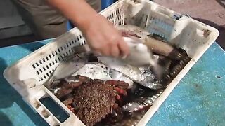 Эль-Джадида: знакомство с рыбаками и отдельная атлантическая поездка