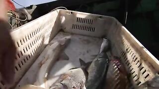 Эль-Джадида: знакомство с рыбаками и отдельная атлантическая поездка