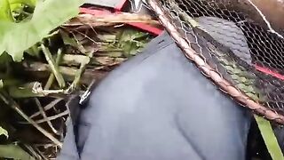 Зеркальный карп на вертушку в маленькой реке у Алахадзы