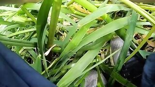Зеркальный карп на вертушку в маленькой реке у Алахадзы