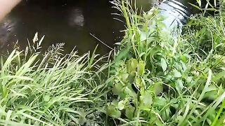 Зеркальный карп на вертушку в маленькой реке у Алахадзы