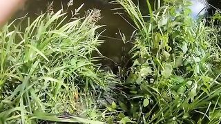 Зеркальный карп на вертушку в маленькой реке у Алахадзы