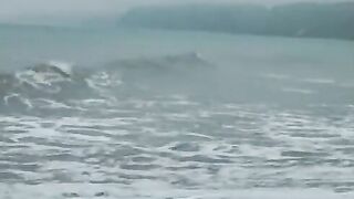 Невельск: рыбацкий праздник и маршрут для летнего морского дня