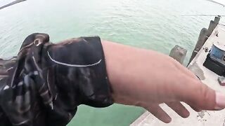 Балатон у Тихани, береговой поиск берша и мощная поклевка судака под конец