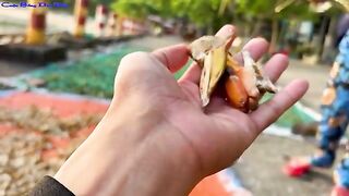 Кулао-Чам, Вьетнам: островная кухня и рыбалка из Дананга