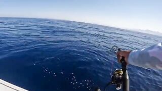 Сома-Бей, Египет: рыболовный сюжет и частный выход на Красное море