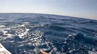Сома-Бей, Египет: рыболовный сюжет и частный выход на Красное море