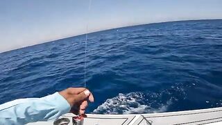 Сома-Бей, Египет: рыболовный сюжет и частный выход на Красное море