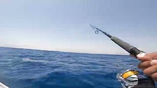 Сома-Бей, Египет: рыболовный сюжет и частный выход на Красное море