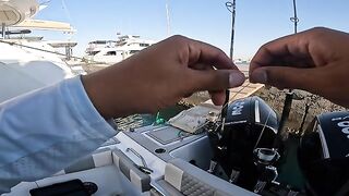 Сома-Бей, Египет: рыболовный сюжет и частный выход на Красное море