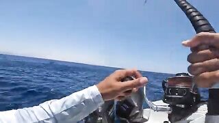 Сома-Бей, Египет: рыболовный сюжет и частный выход на Красное море