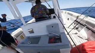 Сома-Бей, Египет: рыболовный сюжет и частный выход на Красное море