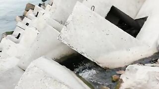 Махачкала: городской рыбный сюжет и выбор выезда с гидом