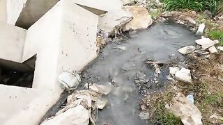 Махачкала: городской рыбный сюжет и выбор выезда с гидом
