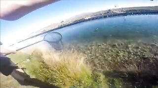 Личный рекорд по радужной форели в Новой Зеландии