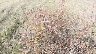 Феодосия, лодочная ловля бойкой кефали и саргана на бомбарду с червем