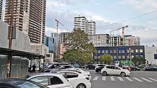 Рыбалка в Сарпи с дельфинами и уловом скумбрии