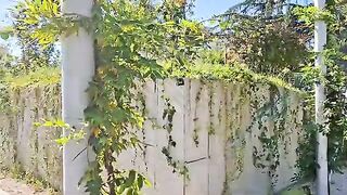 Рыбалка в Сарпи с дельфинами и уловом скумбрии