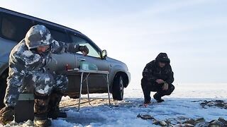 Зимний окунь в Ак-Кабаке: три лунки и 116 штук у одного