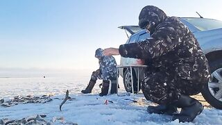 Зимний окунь в Ак-Кабаке: три лунки и 116 штук у одного
