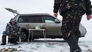 Зимний окунь в Ак-Кабаке: три лунки и 116 штук у одного