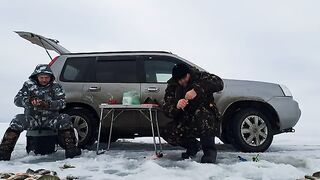 Зимний окунь в Ак-Кабаке: три лунки и 116 штук у одного