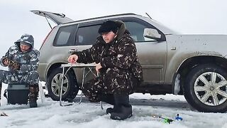 Зимний окунь в Ак-Кабаке: три лунки и 116 штук у одного