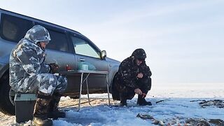 Зимний окунь в Ак-Кабаке: три лунки и 116 штук у одного