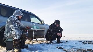 Зимний окунь в Ак-Кабаке: три лунки и 116 штук у одного
