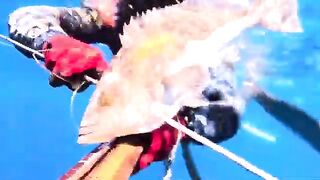 Каш, Калкан: береговая подводная охота и один групер за четыре часа