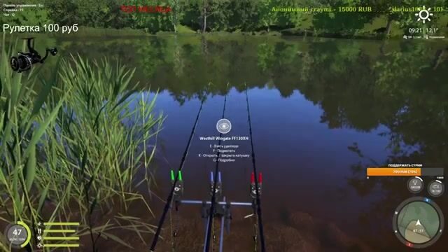 Медное и Янтарное: виртуальный поиск карпа в «Русской рыбалке 4»
