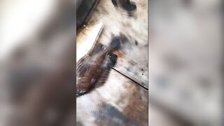 Морской выход у Байтхома на Фукуоке под дождем