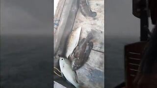 Морской выход у Байтхома на Фукуоке под дождем
