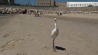 Морская телевизия на пляже Ашдода за рекой Лахиш