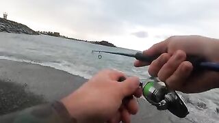 Лосось на Rapala у черноморского берега в Ризе