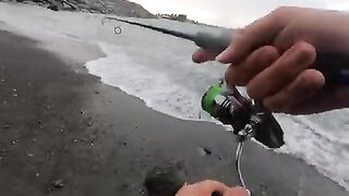Лосось на Rapala у черноморского берега в Ризе