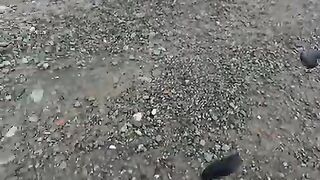 Лосось на Rapala у черноморского берега в Ризе