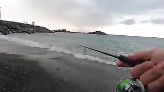 Лосось на Rapala у черноморского берега в Ризе
