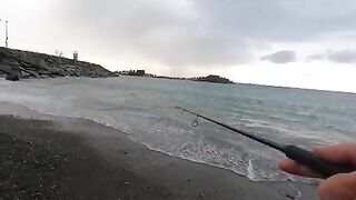 Лосось на Rapala у черноморского берега в Ризе