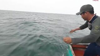 Ночная ловля кальмара с лодки в Лонгхае