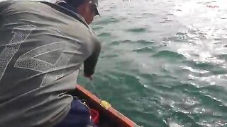 Ночная ловля кальмара с лодки в Лонгхае