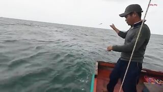 Ночная ловля кальмара с лодки в Лонгхае