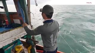 Ночная ловля кальмара с лодки в Лонгхае