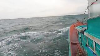 Ночная ловля кальмара с лодки в Лонгхае