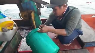 Ночная ловля кальмара с лодки в Лонгхае