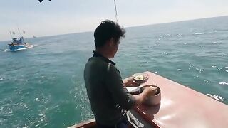 Ночная ловля кальмара с лодки в Лонгхае