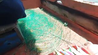 Ночная ловля кальмара с лодки в Лонгхае